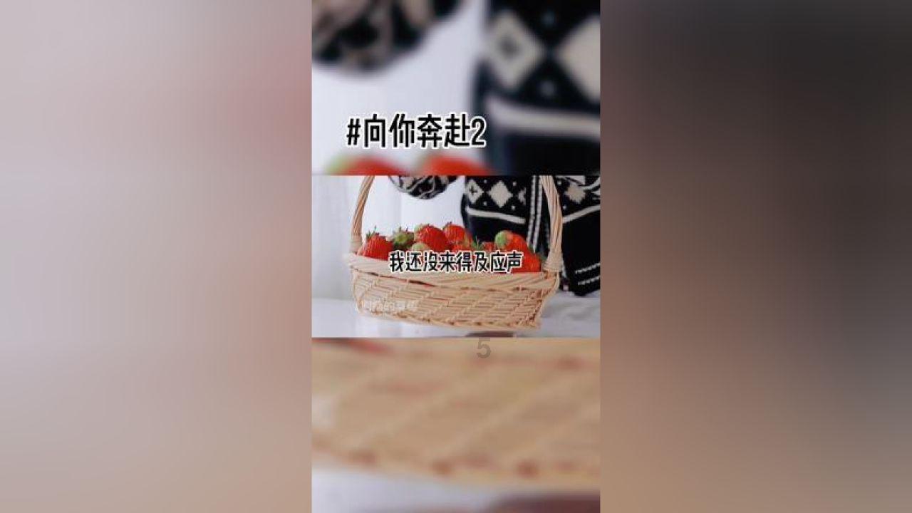 袋鼠逃生