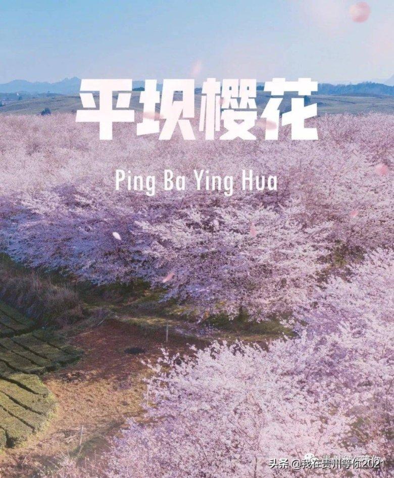 有人想写小说么我可以和她一起和写游戏画面