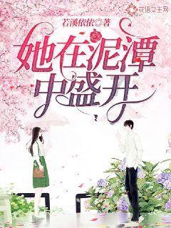 探探猫历险记