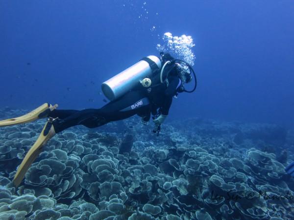 顶流女明星AI不雅照被传播：女神霉霉很愤怒！