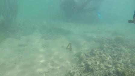2024长春寒假影视主题研学路线