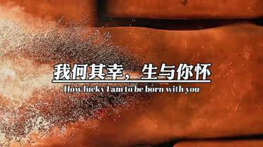 县域共青团基层组织改革丨青山区:团组织赋能,让青年当主角