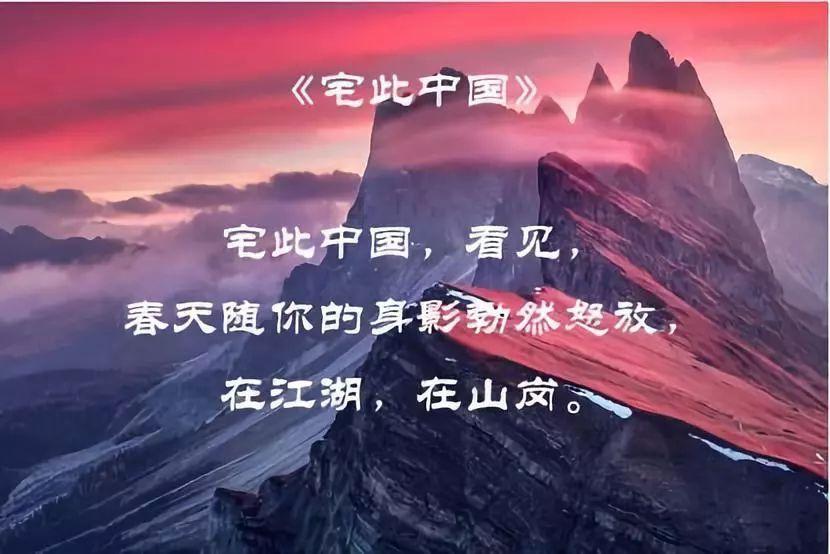 植物大战僵尸20