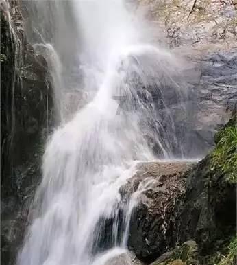 巧虎足球传送门