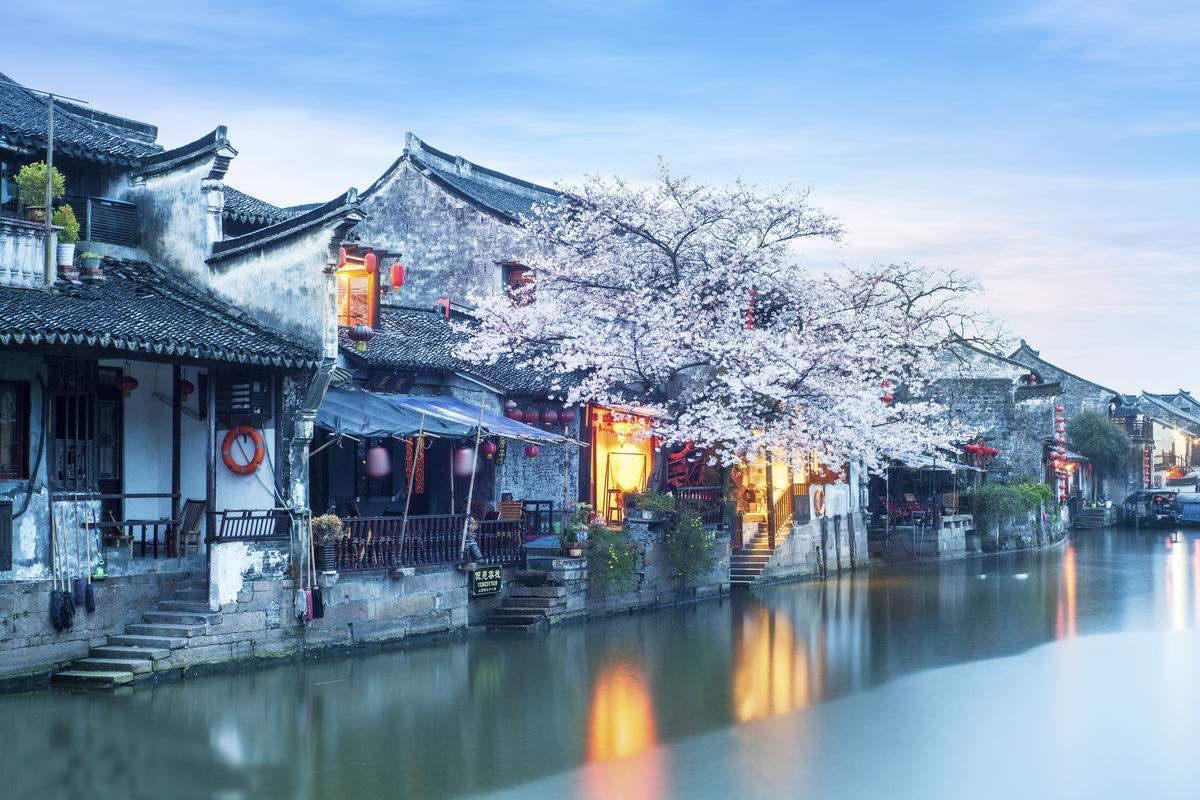 后怕！土耳其2岁女童被蛇咬后，反把蛇咬死！这种蛇有毒吗？游戏画面