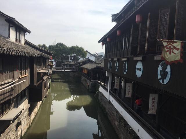 饥饿的哈利